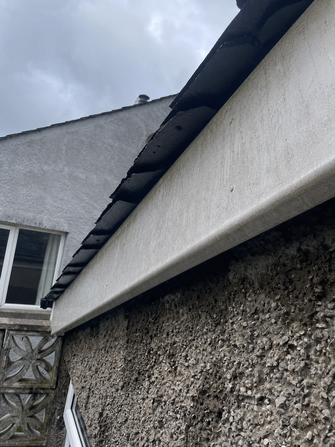 Fascias & soffits, before cleaning
