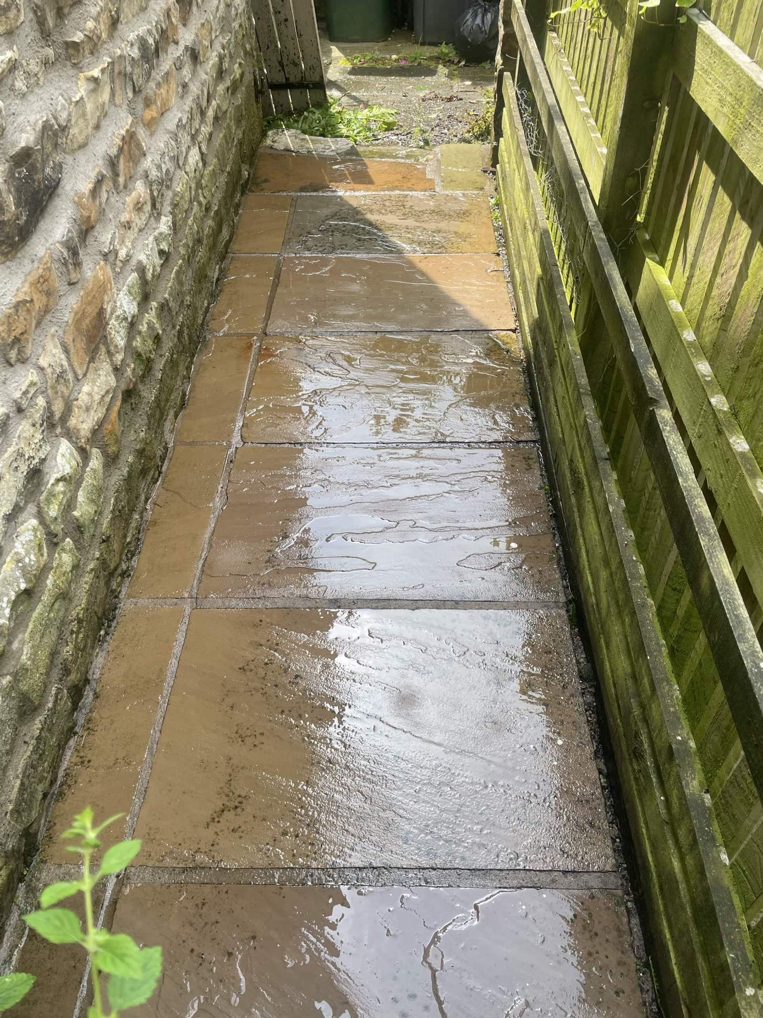 Pressure Washing, after cleaning